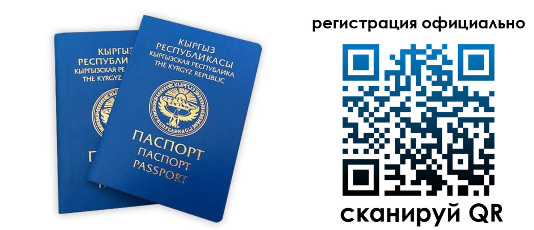 прописка поиск в Торопеце